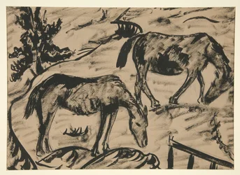 Caballos