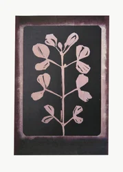 Silueta botánica oscura