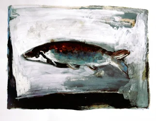 Peces de aguas oscuras