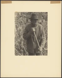 [Hombre con azada en un campo de sorgo]