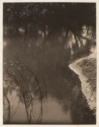 Estudio de árboles reflejados en el agua, c.1925-34 (impresión en platino)