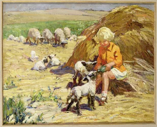 Alimentar a los corderos (aceite)