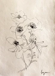 Dibujo floral delicado