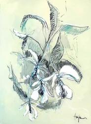 Dibujo de una delicada orquídea