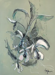 Elegante boceto de una orquídea