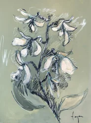 Boceto floral en blanco