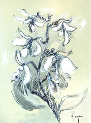 Boceto floral en blanco
