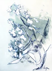 Dibujo de una orquídea blanca