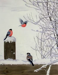 Camachuelos en una valla nevada