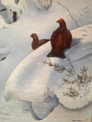 Urogallo en la nieve, c.1985 (óleo sobre lienzo)
