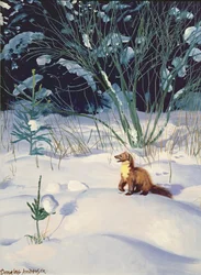 Martas del pino en la nieve