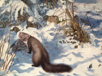 Martas de piedra en la nieve (óleo sobre lienzo)