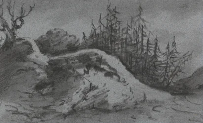 Composición de rocas y pinos