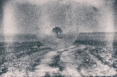 Camino hacia el Árbol Solitario
