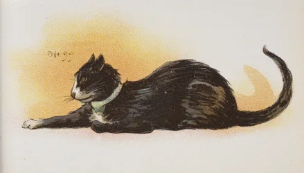 Un gato.
