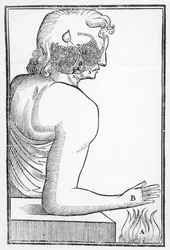 Ilustración del funcionamiento y efecto de la glándula pineal en el sistema nervioso humano en relación con una reacción al fuego, de Tractatus de Homine, publicado en Ámsterdam por Elsevier, 1677