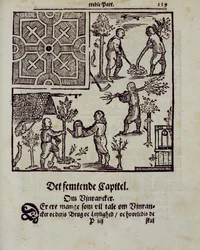 Plantación de árboles, de The Dutch Gardener por Johann van der Groen, publicado en 1699