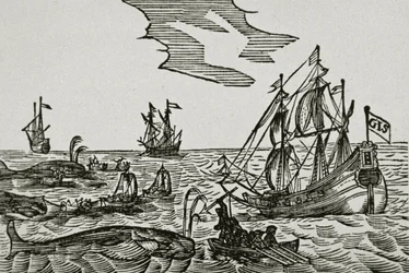 Barcos balleneros, del 