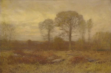 Noviembre, 1904-1905
