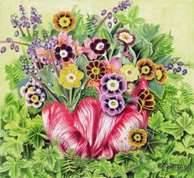 Aurículas, 2000