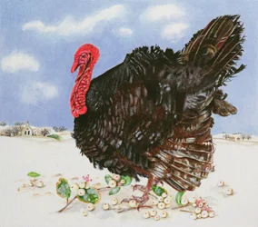 Pavo negro con bayas de nieve, 1996