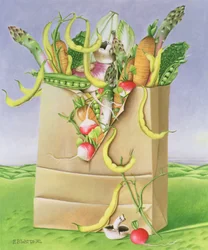 Bolsa de papel con verduras, 1992