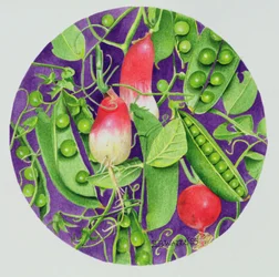Guisantes con tres rábanos