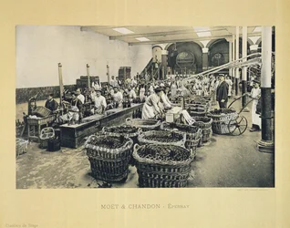 Embotellado de champán, de La France Vinicole, publicado por Moët & Chandon, Epernay