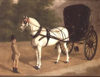 Un caballo gris y cabriolé con mozo