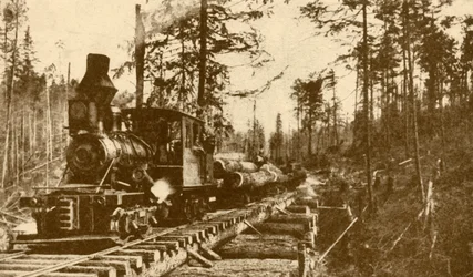 Un ferrocarril maderero, Columbia Británica, 1930