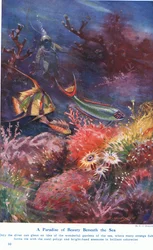 Un paraíso de belleza bajo el mar, ilustración de 