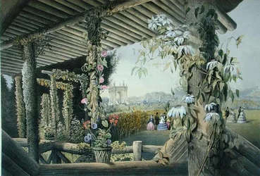 Vista desde el Asiento Rústico, Shrublands, de 