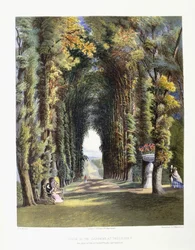 Vista en los jardines de Teddesley, asiento del muy honorable Lord Hatherton, 1857