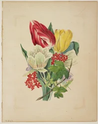 Ramo de tulipanes, de 