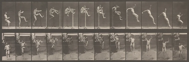 Locomoción Animal. Una Investigación Electro-Fotográfica de Fases Consecutivas de Animales..., 1880s