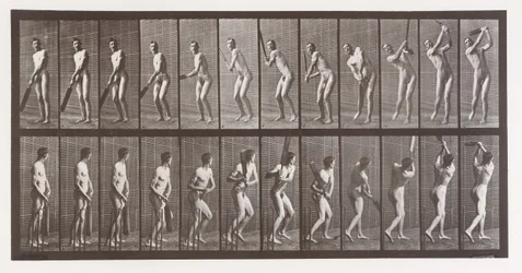 Locomoción animal. Una investigación electro-fotográfica de fases consecutivas de animales