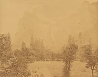 Pohona. Valle del Yosemite.