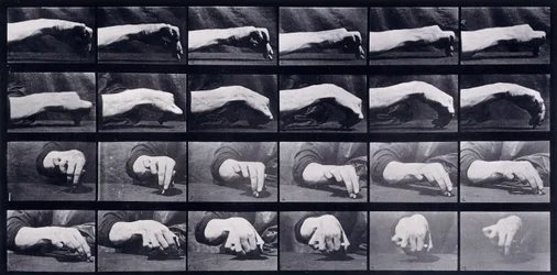 Estudio de movimiento de una mano, c.1872-1885