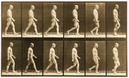Secuencia de imágenes de un hombre desnudo caminando, serie 