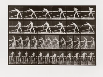 Hombre cepillando madera, Placa 379 de Animal Locomotion