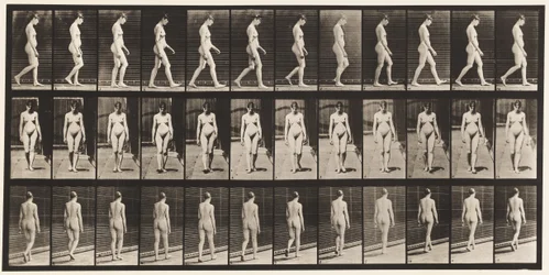 Placa 13. Caminando, 1872-1885