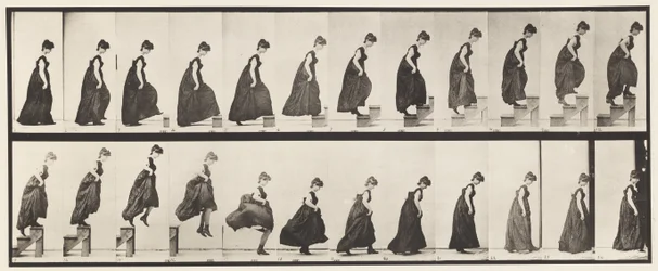 Placa 173. Subiendo escalones y saltando, 1885