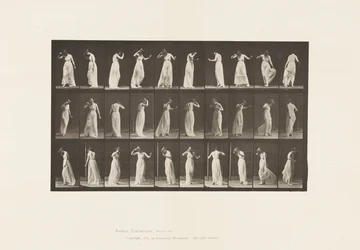 Placa 194. Bailando, 1885