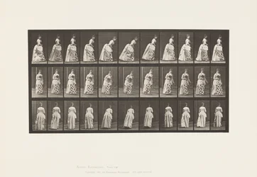 Placa 198. Haciendo una reverencia, 1885