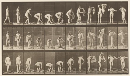 Placa 227. Levantando tela del suelo, 1872-1885