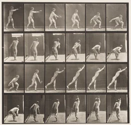 Placa 307. Lanzando un disco de hierro, 1872-1885