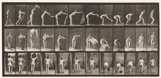 Placa 439. Extendiendo una alfombra en el suelo, 1872-1885