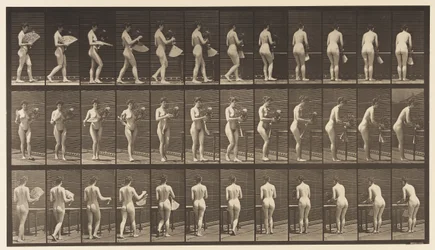 Placa 441. Llevando jarrón y colocándolo en la mesa, 1872-1885