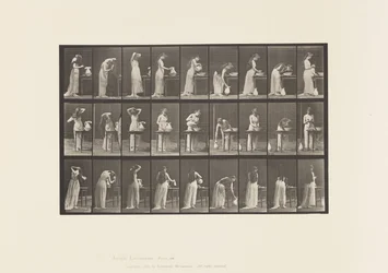 Placa 496. Fases Misceláneas del Tocador, 1885