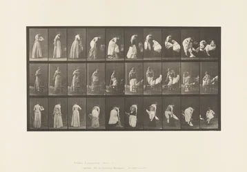 Placa 497. Fases diversas del tocador, 1885